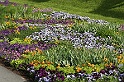 BUGA Schwerin   035